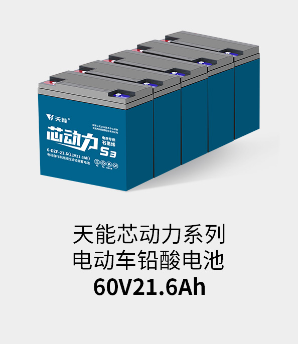 尊龙凯时电池60v20ah